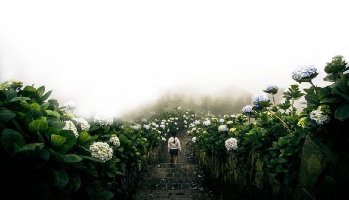 photo-1489919282651-df73812beffb-825x510