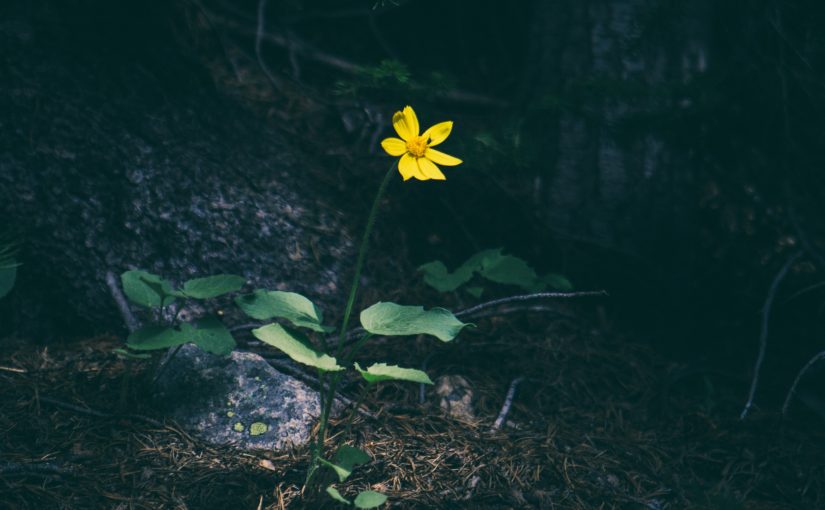 matthew-smith-5942-unsplash-825x510
